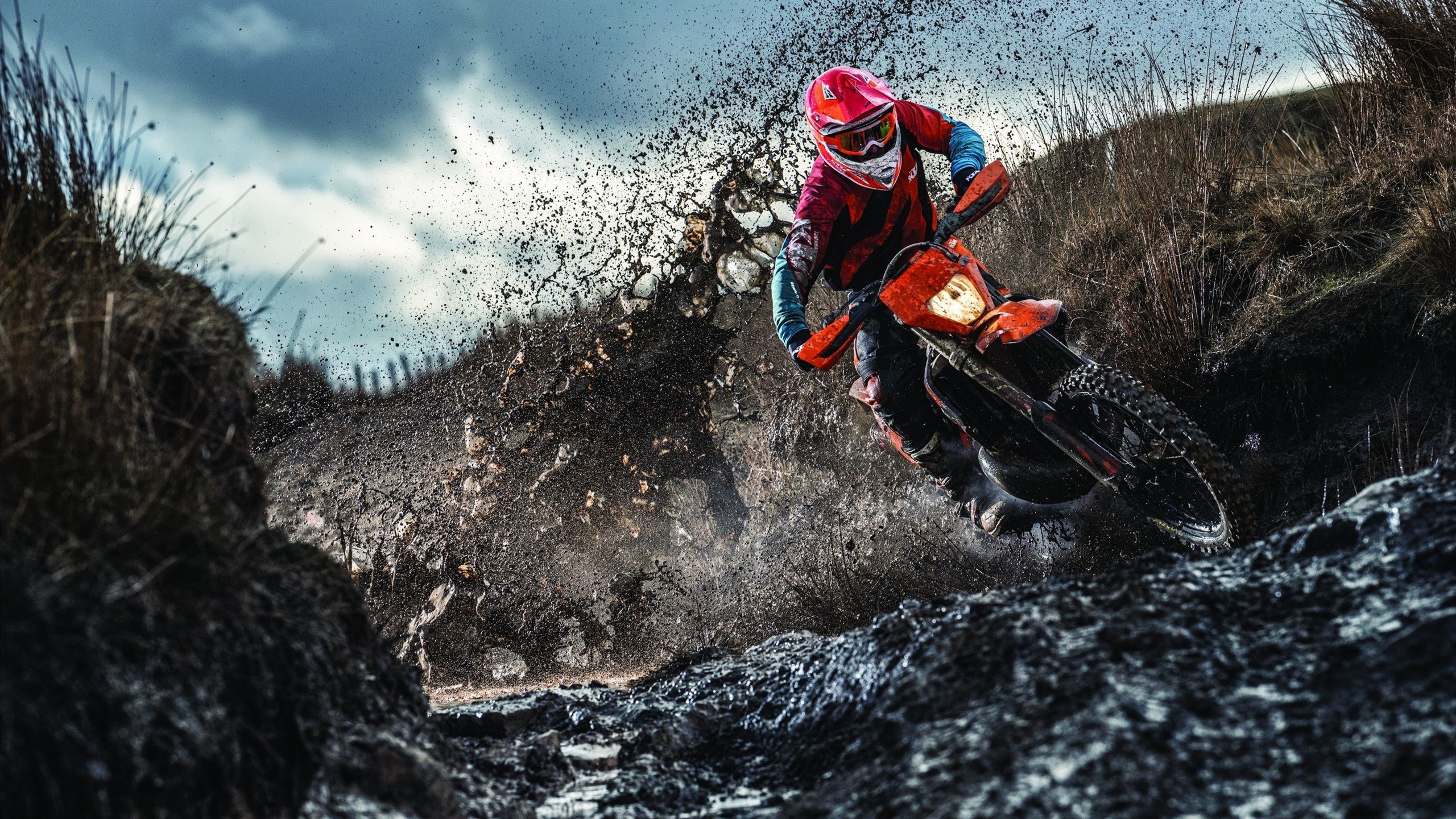 体育赛事市场份额排行